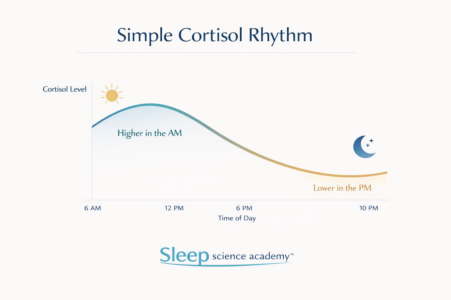 Cortisol rhythm chart showing higher morning levels and lower evening levels, with Sleep Science Academy branding.