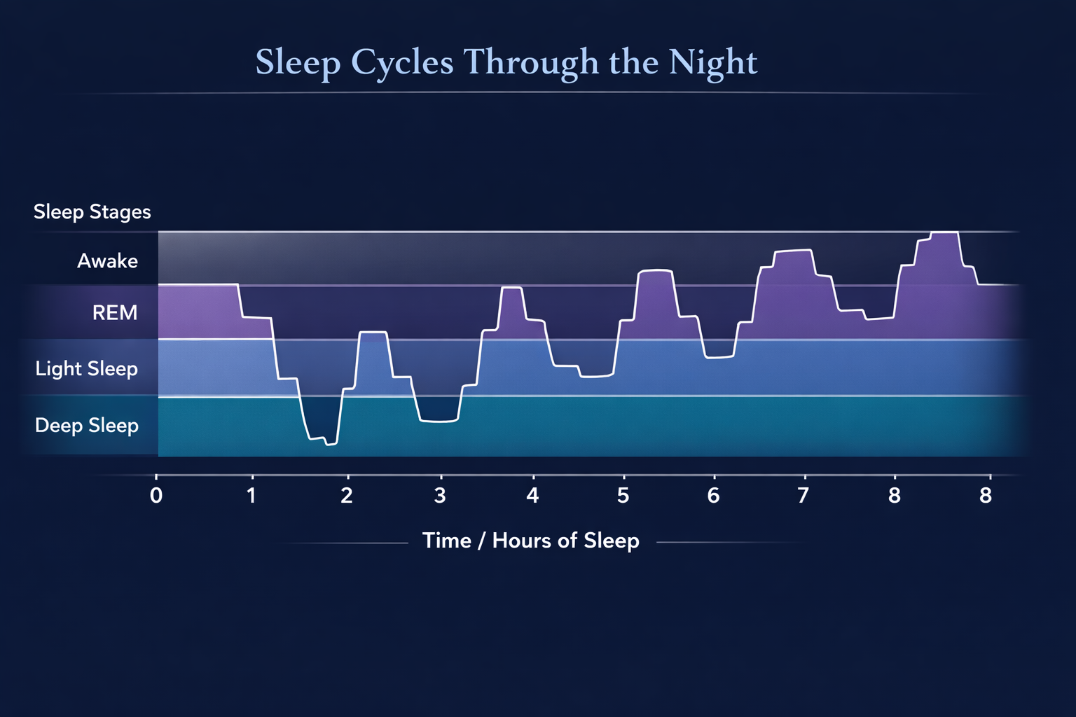 Sleep cycles hypnogram showing deep sleep earlier and more REM in the second half of the night
